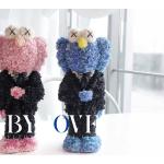 BYJOVE – Sesame Street Preserved Flower Customization